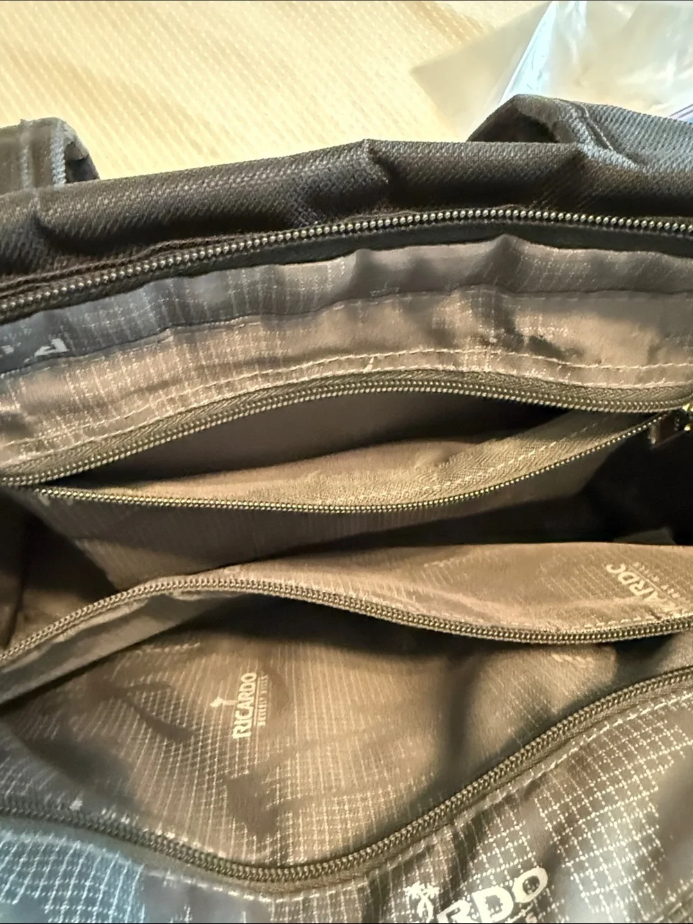 Ricardo Travel Tote Bag with Trolley Sleeve